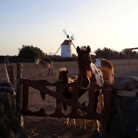 2 Bedrooms House With Sea View And Wifi At El 1 Km Away From The * El Cotillo (Fuerteventura)