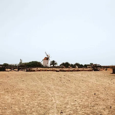 2 Bedrooms House With Sea View And Wifi At El 1 Km Away From The 別荘 Cotillo